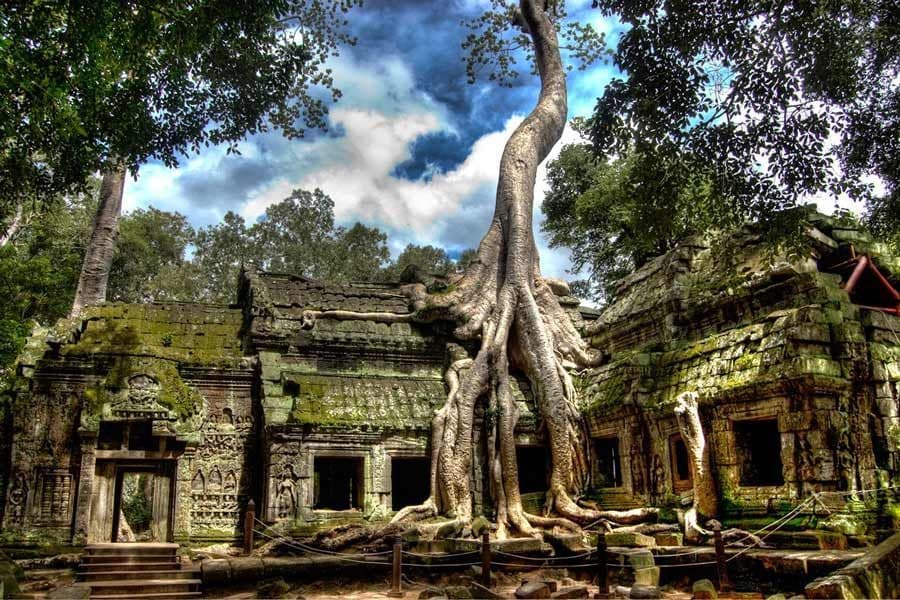 Ta Prohm Temple